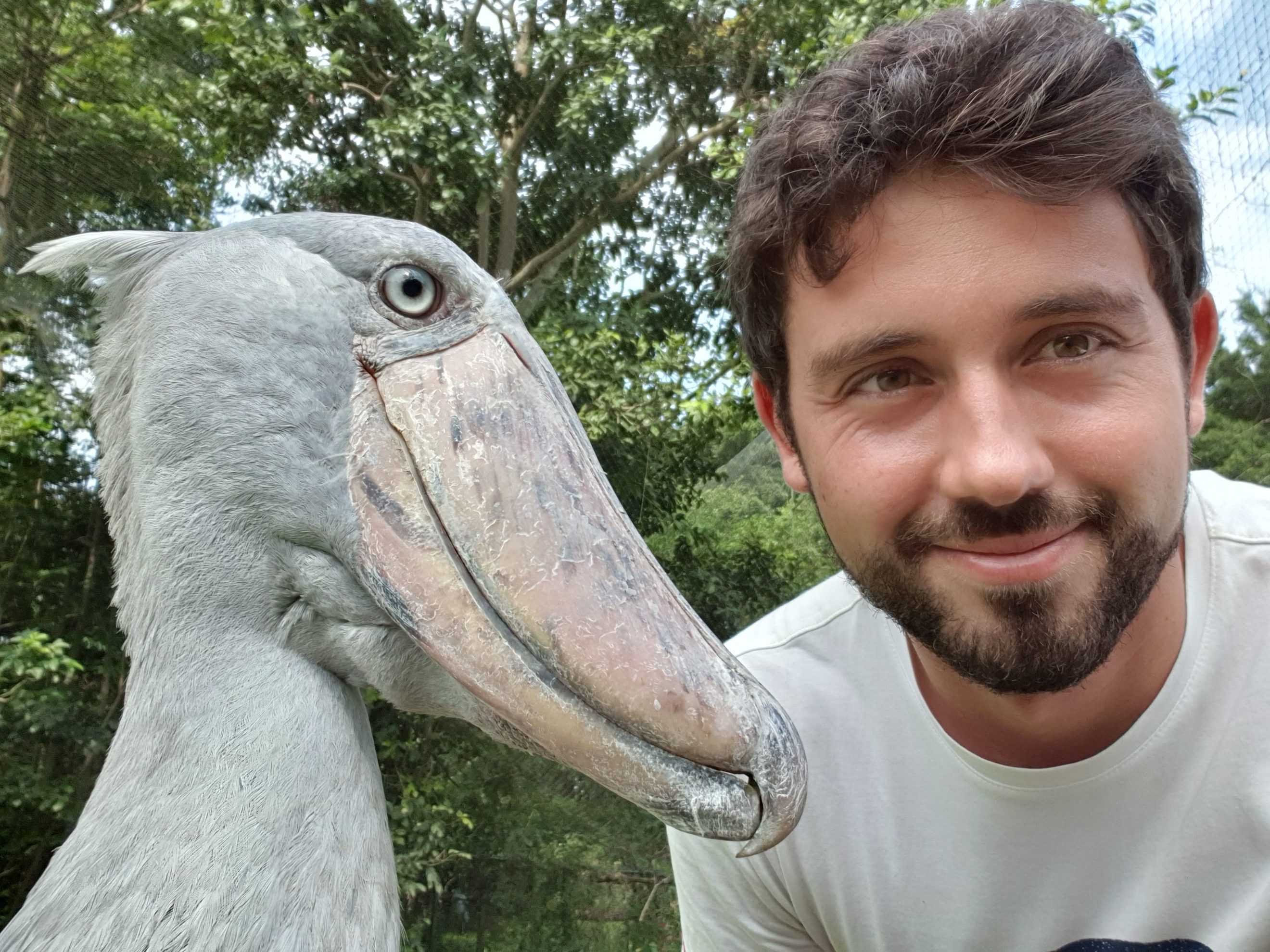 Uganda #1 – Idi Amin, Kampala i Nil